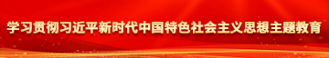 亚洲骚嫩逼逼学习贯彻习近平新时代中国特色社会主义思想主题教育